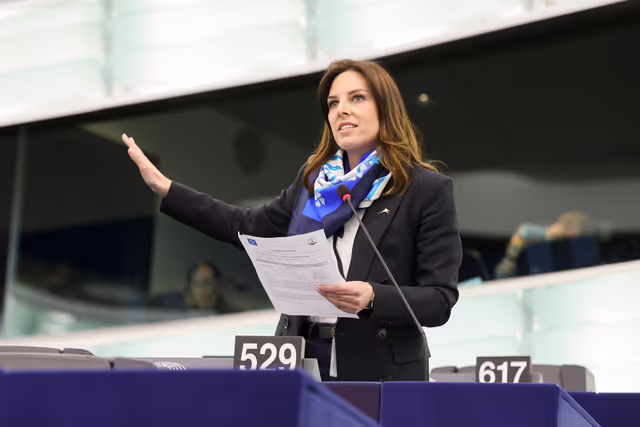 EP Plenary session - Type-approval of motor vehicles and engines with respect to their emissions and battery durability (Euro 7)