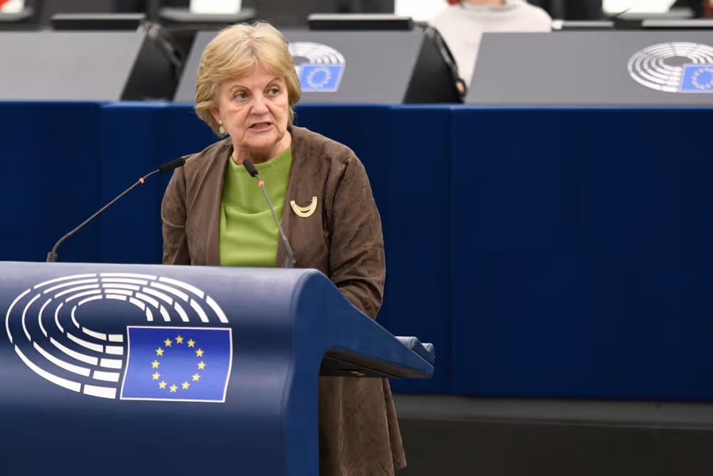 EP Plenary session - Commission statement - The time the European Commission takes to deal with requests for public access to documents