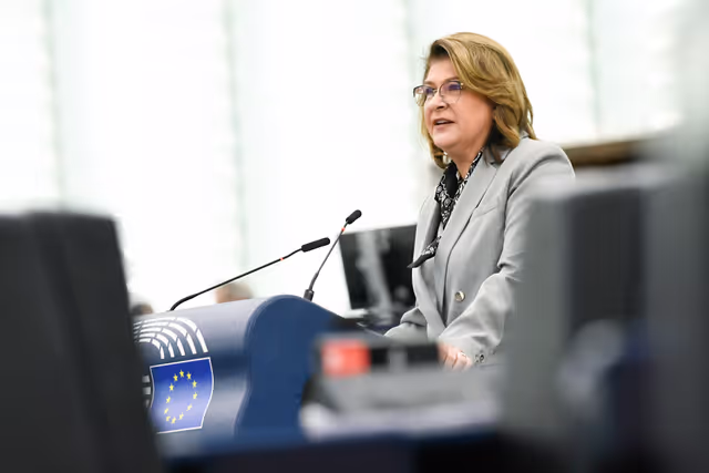 EP Plenary session  - Return of Romanian national treasure illegally appropriated by Russia