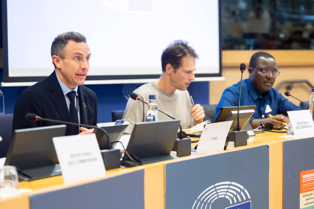 Fotagrafa 16: DEVE workshop on ' Confronting debt, climate change and poverty: Global financial architecture reform and fiscal space of developing countries '