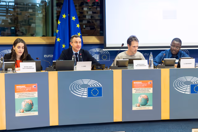 DEVE workshop on ' Confronting debt, climate change and poverty: Global financial architecture reform and fiscal space of developing countries '