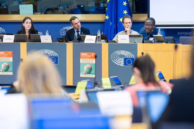 Fotagrafa 9: DEVE workshop on ' Confronting debt, climate change and poverty: Global financial architecture reform and fiscal space of developing countries '