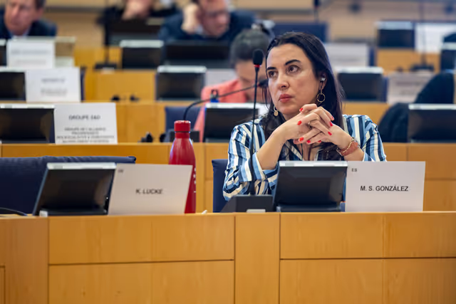 Fotagrafa 3: DEVE workshop on ' Confronting debt, climate change and poverty: Global financial architecture reform and fiscal space of developing countries '