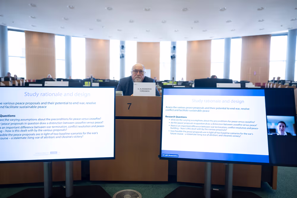 AFET and Foreign Affairs Committee of the Verkhovna Rada of Ukraine joint meeting