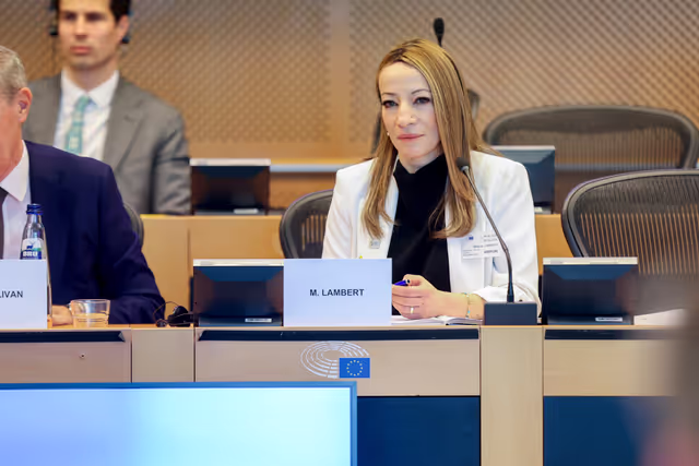 Fotagrafa 12: EU - US Interparliamentary meeting of the Transatlantic Legislators' Dialogue