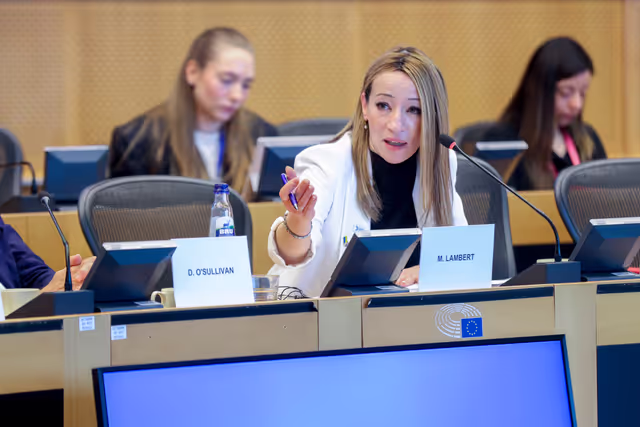 Fotagrafa 9: EU - US Interparliamentary meeting of the Transatlantic Legislators' Dialogue