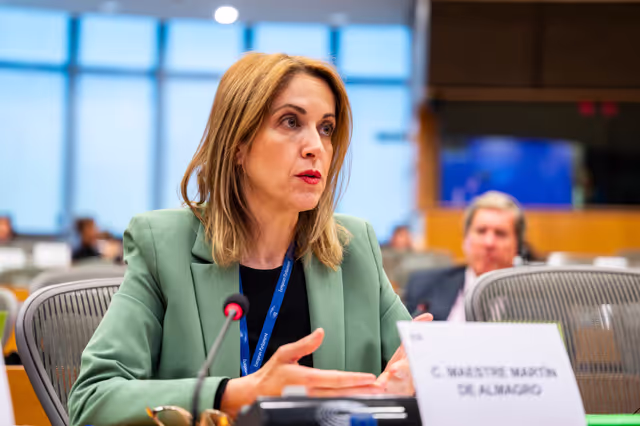 Valokuva 19: PETI  - End of term meeting