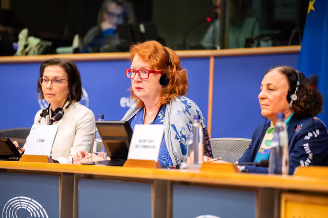 Valokuva 16: PETI  - End of term meeting