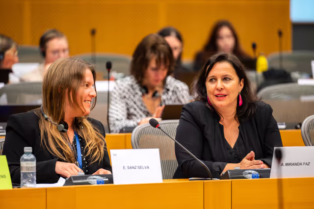 Valokuva 17: PETI  - End of term meeting