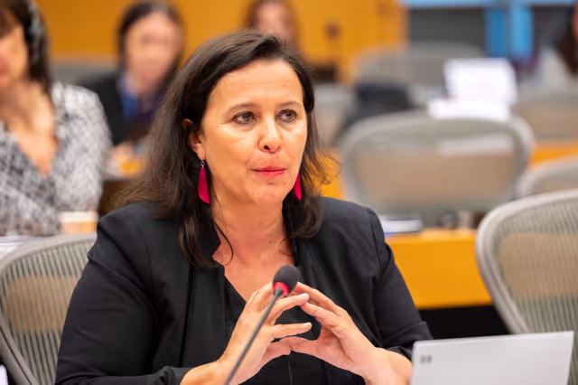 Valokuva 13: PETI  - End of term meeting