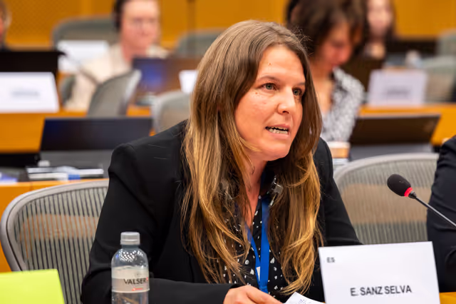 Valokuva 11: PETI  - End of term meeting