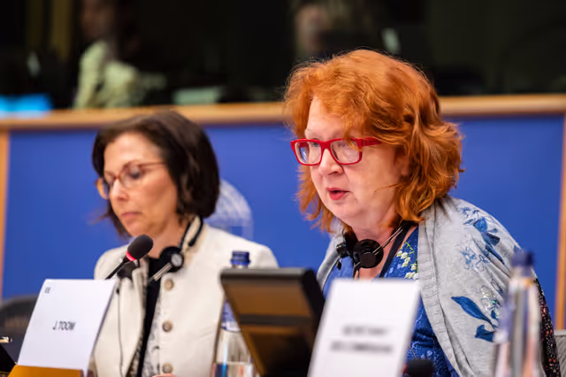 Valokuva 6: PETI  - End of term meeting