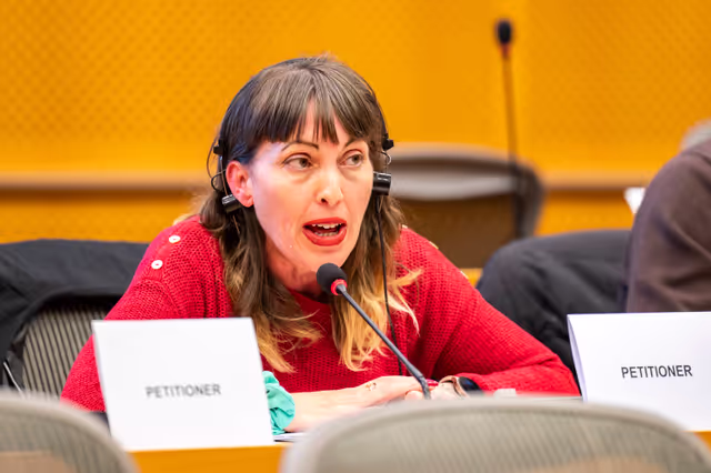 Valokuva 5: PETI  - End of term meeting