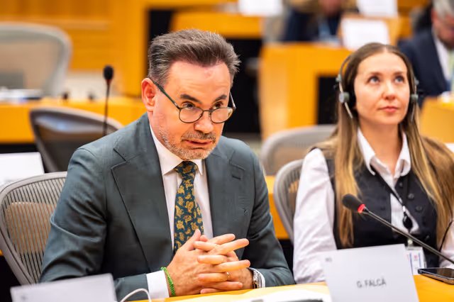 Valokuva 2: PETI  - End of term meeting