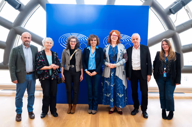 PETI  - End of term meeting