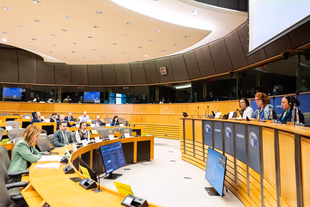 PETI  - End of term meeting