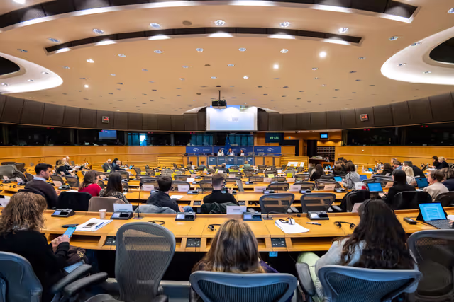 Valokuva 18: PETI  - End of term meeting