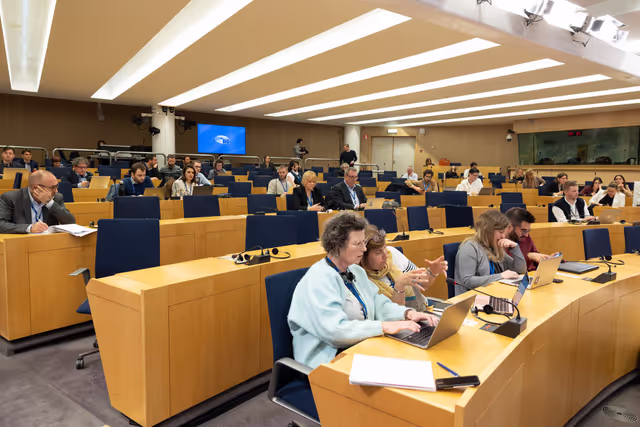 Foto 2: Press conference on Migration Pact files