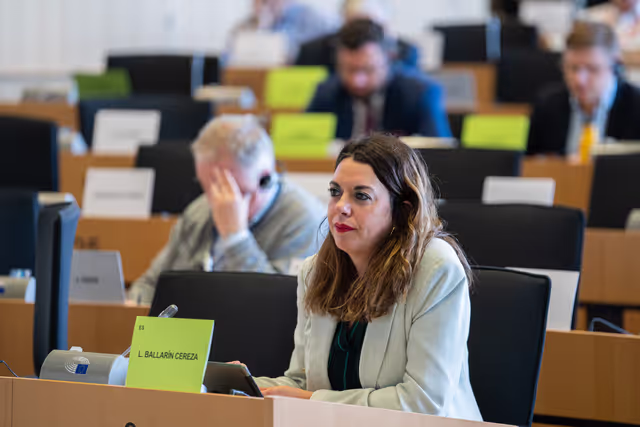 Photo 11: ITRE Committee meeting