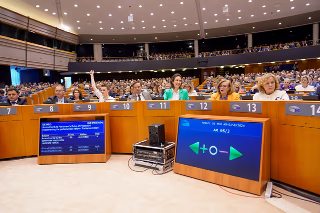 EP Mini-Plenary Session - Voting Session