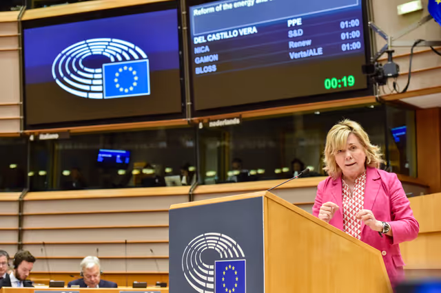 Valokuva 14: EP Mini-Plenary Session - Joint debate - Reform of the energy and electricity markets