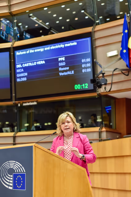 Valokuva 13: EP Mini-Plenary Session - Joint debate - Reform of the energy and electricity markets