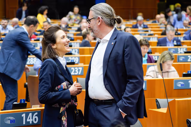 Photo 13: EP Mini-Plenary Session - International Roma Day