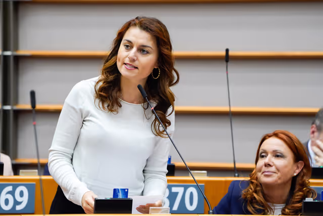 Photo 4: EP Mini-Plenary Session - International Roma Day