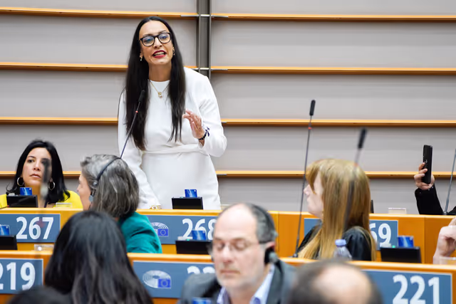 Photo 3: EP Mini-Plenary Session - International Roma Day