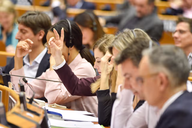 EP Mini-Plenary Session - Voting session