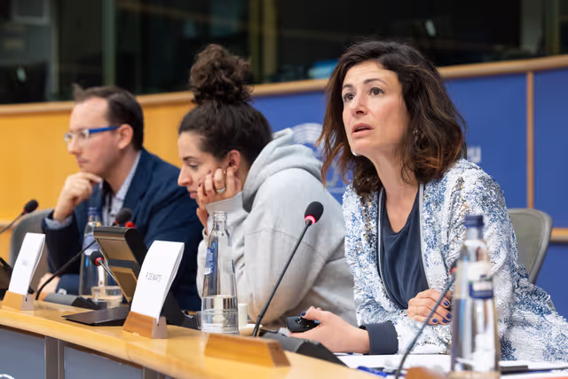 Foto 24: European Elections 2024 for Innovative Media