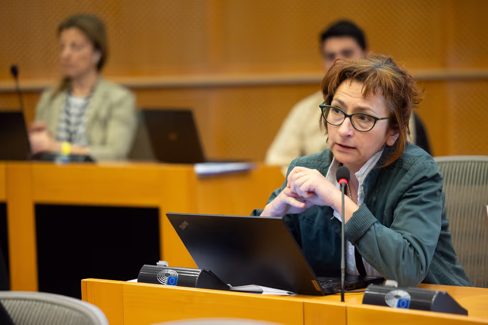 European Elections 2024 for Innovative Media