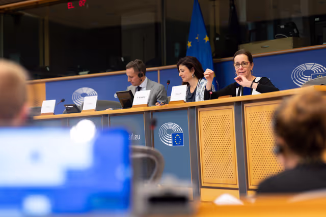 Foto 48: European Elections 2024 for Innovative Media