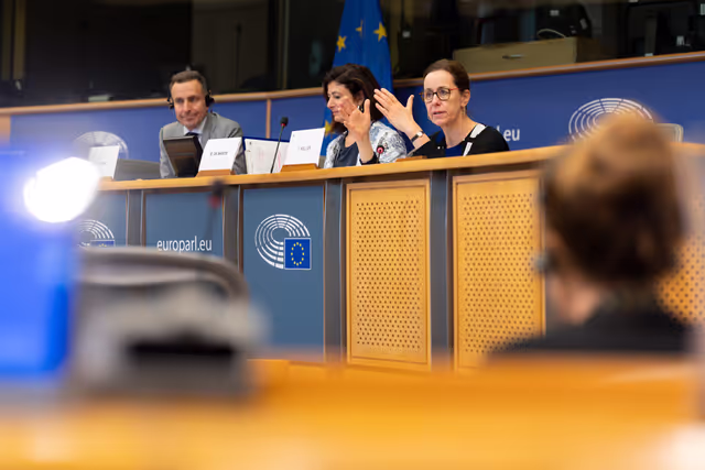 Foto 47: European Elections 2024 for Innovative Media