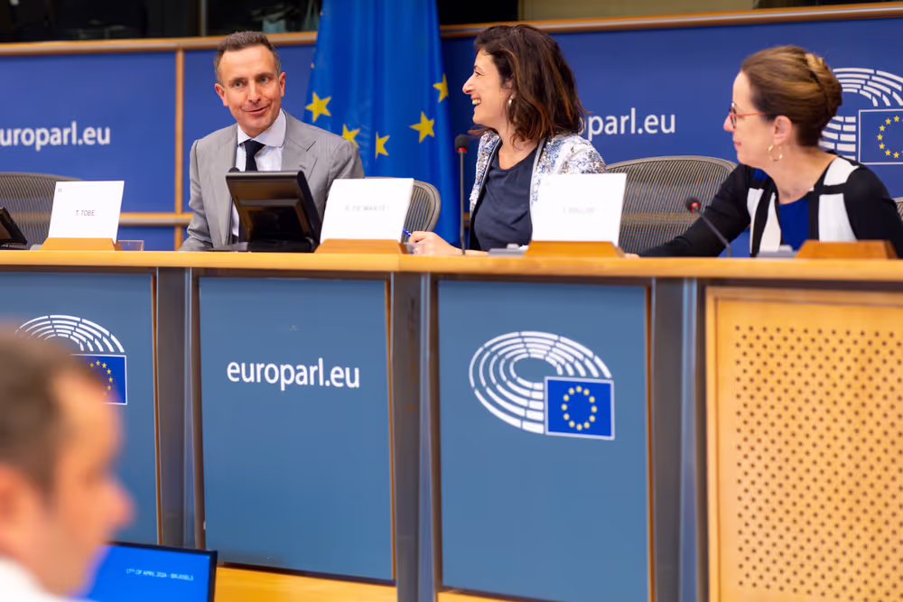 European Elections 2024 for Innovative Media