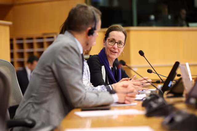 Foto 50: European Elections 2024 for Innovative Media