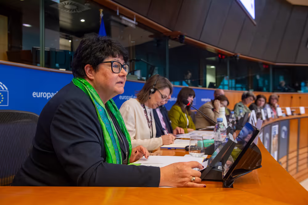 The role of primary schools High-level debate