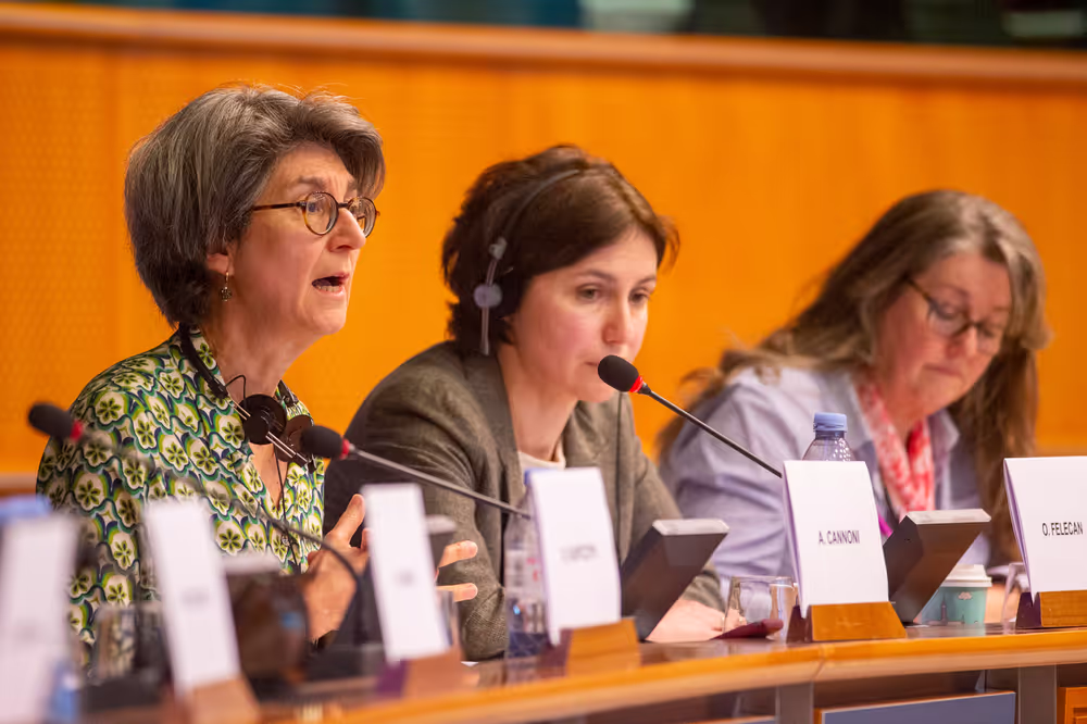 The role of primary schools High-level debate