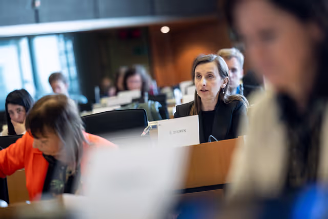 FEMM - Achievements of the 9th parliamentary term