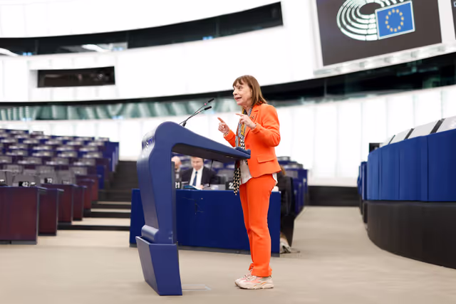Fotografie 35: EP Plenary session - Prohibiting products made with forced labour on the Union market