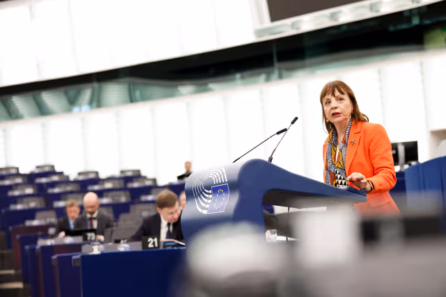Fotografie 36: EP Plenary session - Prohibiting products made with forced labour on the Union market