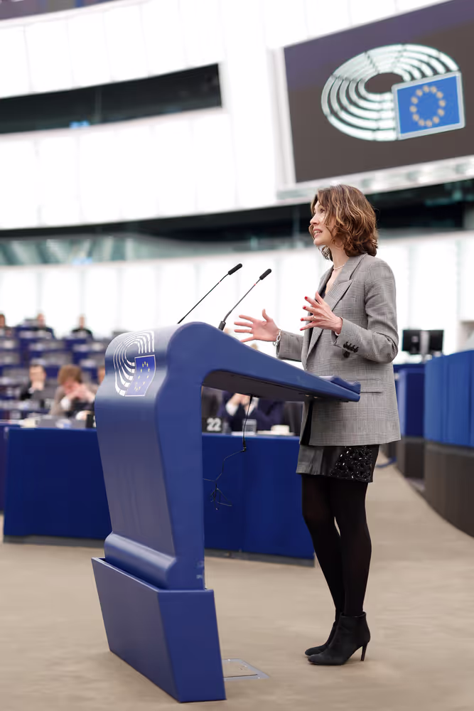 EP Plenary session - Joint debate - Economic governance