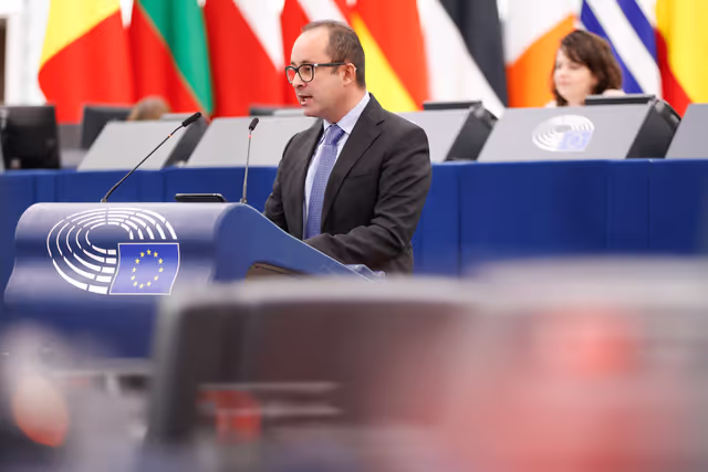 EP Plenary session - Joint debate - Economic governance