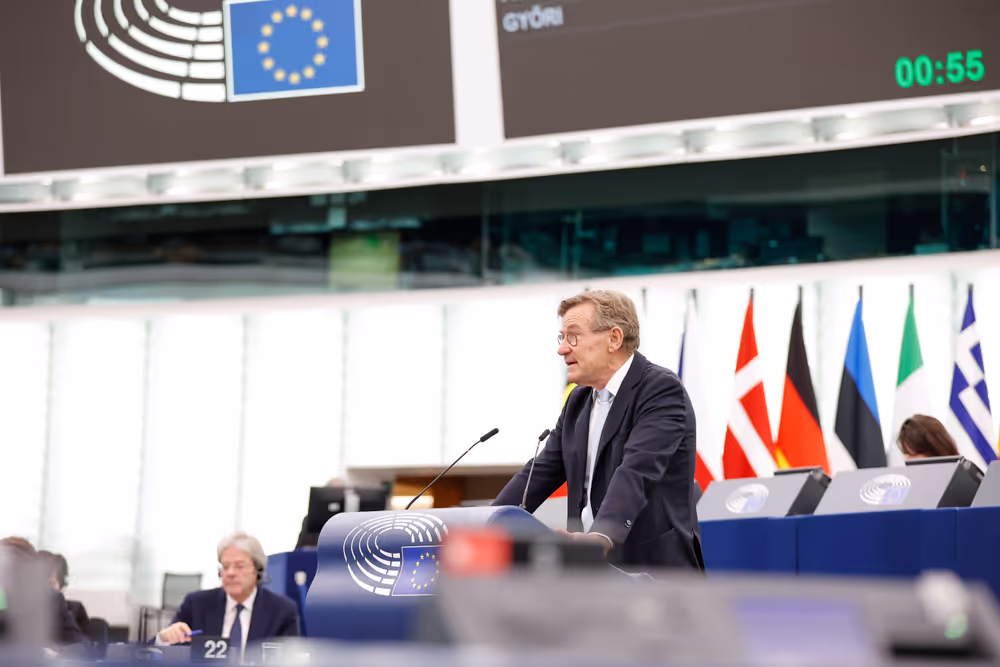 EP Plenary session - Joint debate - Economic governance