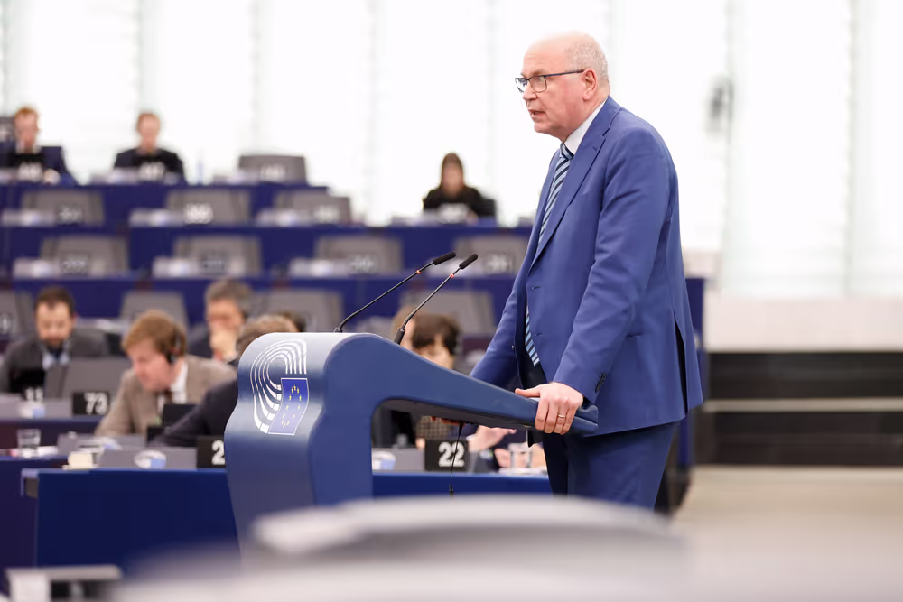 EP Plenary session - Joint debate - Economic governance