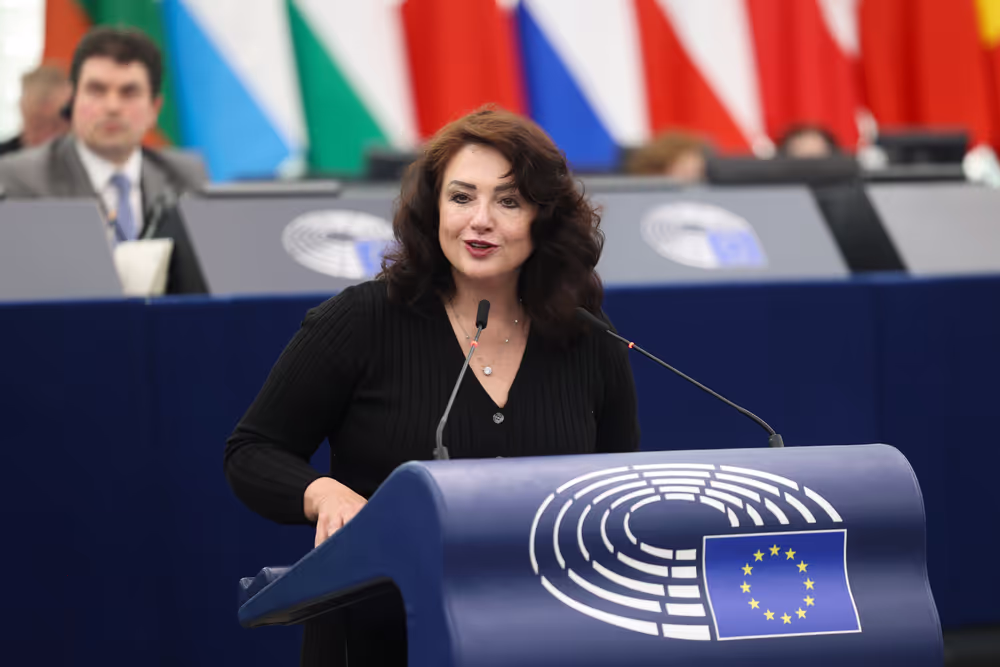 EP Plenary session - Combating violence against women and domestic violence