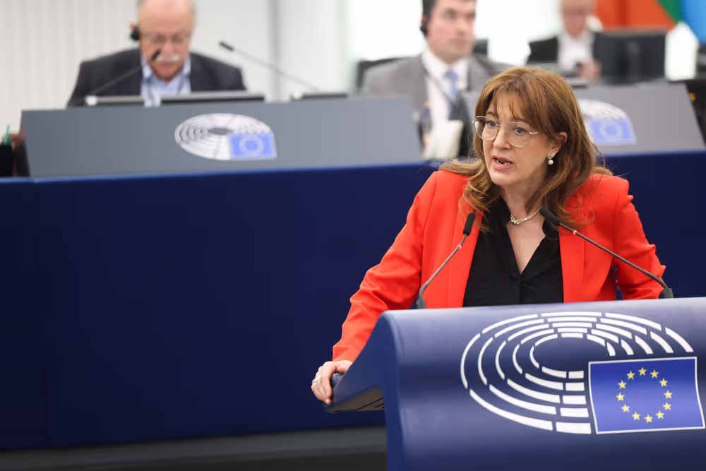 EP Plenary session - Combating violence against women and domestic violence