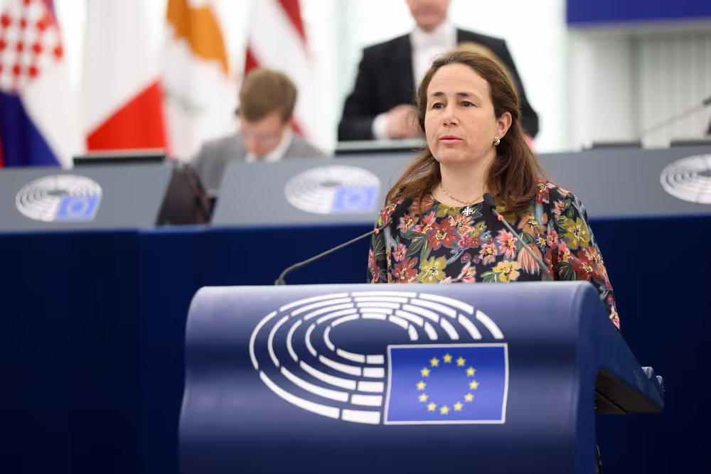 EP Plenary session - Combating violence against women and domestic violence