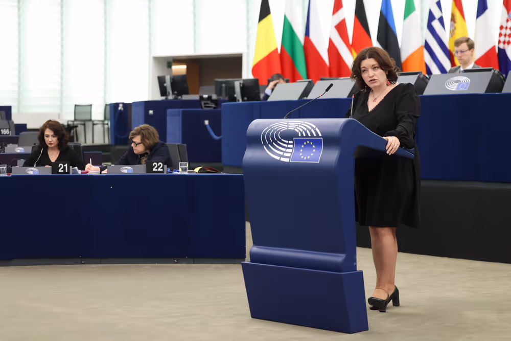 EP Plenary session - Combating violence against women and domestic violence