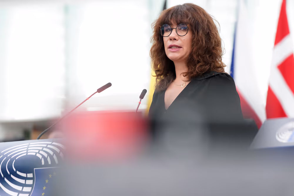 EP Plenary session - Joint Debate - Disability cards